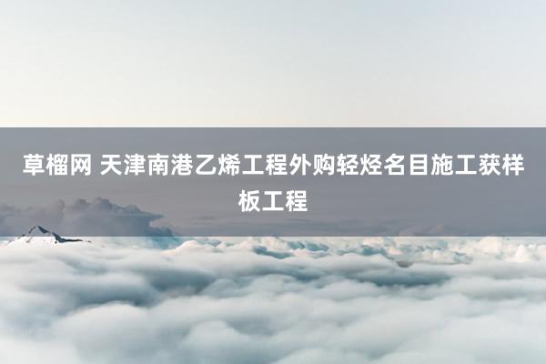草榴网 天津南港乙烯工程外购轻烃名目施工获样板工程