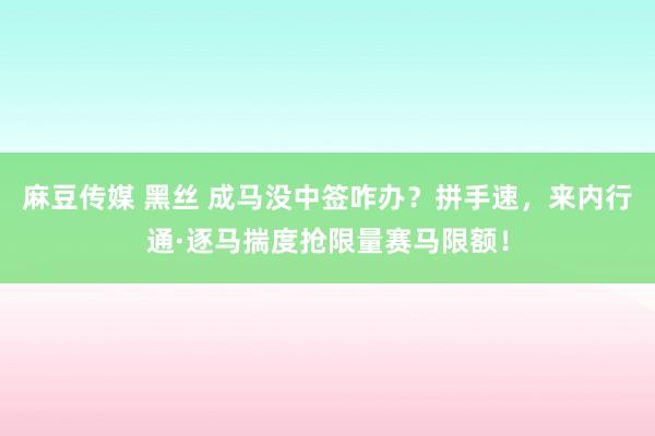 麻豆传媒 黑丝 成马没中签咋办？拼手速，来内行通·逐马揣度抢限量赛马限额！