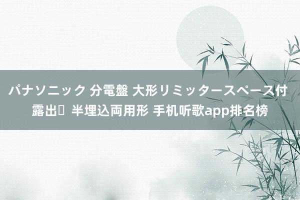 パナソニック 分電盤 大形リミッタースペース付 露出・半埋込両用形 手机听歌app排名榜