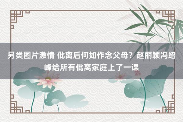 另类图片激情 仳离后何如作念父母？赵丽颖冯绍峰给所有仳离家庭上了一课
