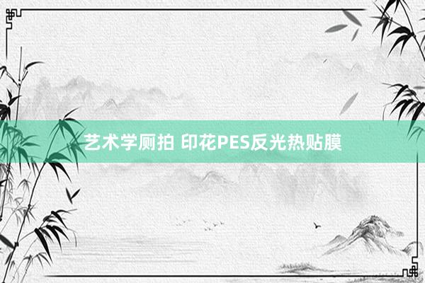 艺术学厕拍 印花PES反光热贴膜
