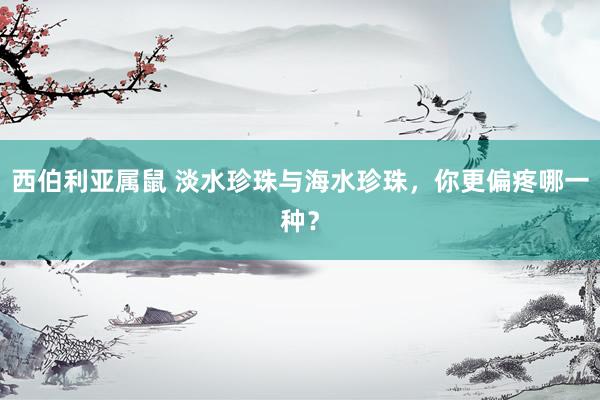 西伯利亚属鼠 淡水珍珠与海水珍珠，你更偏疼哪一种？