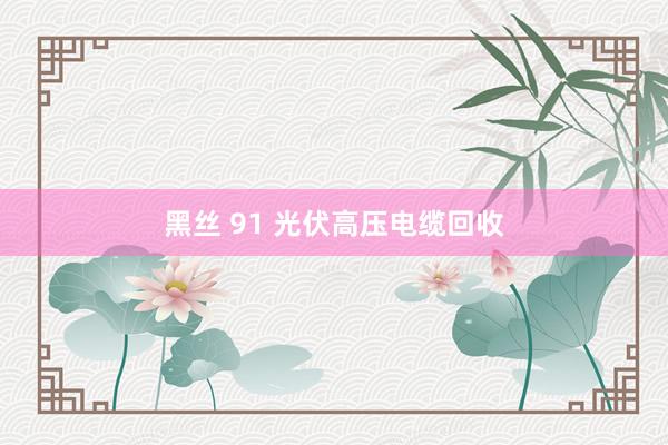 黑丝 91 光伏高压电缆回收