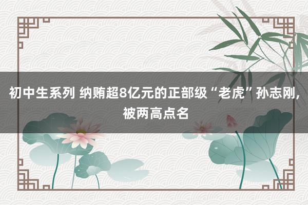 初中生系列 纳贿超8亿元的正部级“老虎”孙志刚, 被两高点名