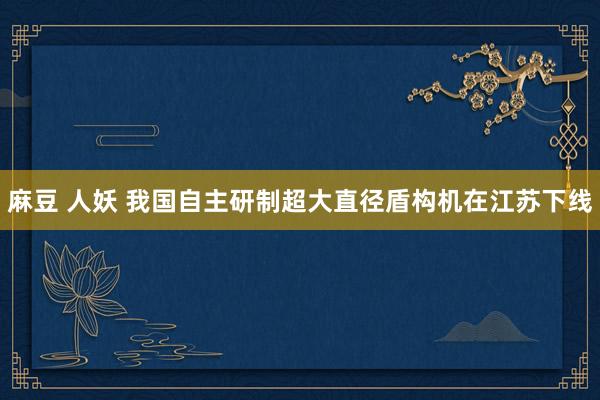 麻豆 人妖 我国自主研制超大直径盾构机在江苏下线
