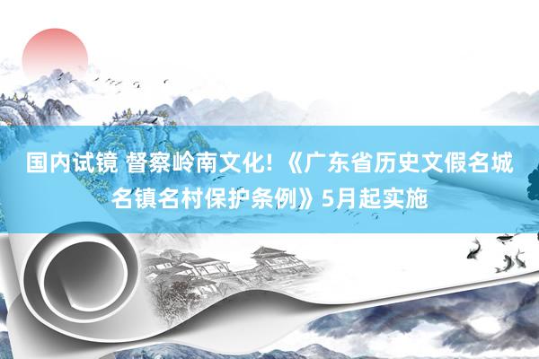国内试镜 督察岭南文化! 《广东省历史文假名城名镇名村保护条例》5月起实施