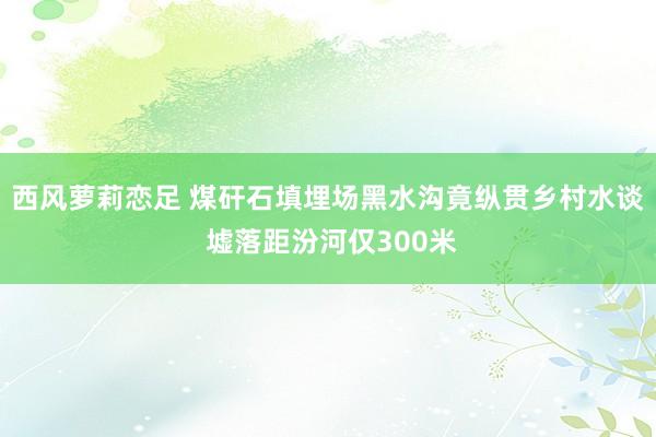 西风萝莉恋足 煤矸石填埋场黑水沟竟纵贯乡村水谈 墟落距汾河仅300米