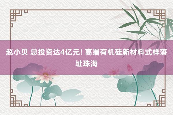 赵小贝 总投资达4亿元! 高端有机硅新材料式样落址珠海