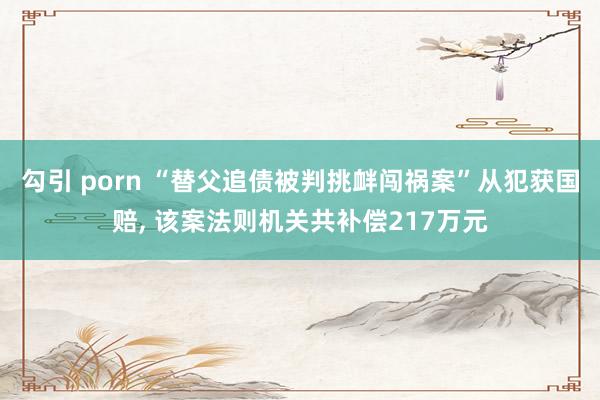 勾引 porn “替父追债被判挑衅闯祸案”从犯获国赔, 该案法则机关共补偿217万元