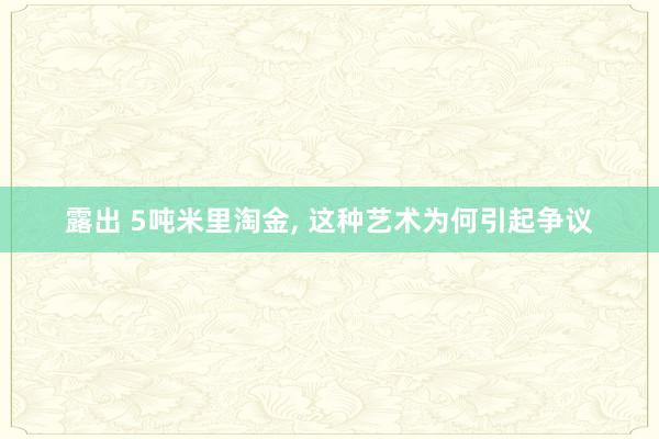 露出 5吨米里淘金, 这种艺术为何引起争议