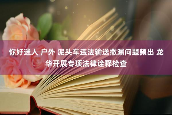 你好迷人 户外 泥头车违法输送撒漏问题频出 龙华开展专项法律诠释检查