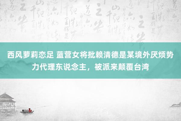 西风萝莉恋足 蓝营女将批赖清德是某境外厌烦势力代理东说念主，被派来颠覆台湾