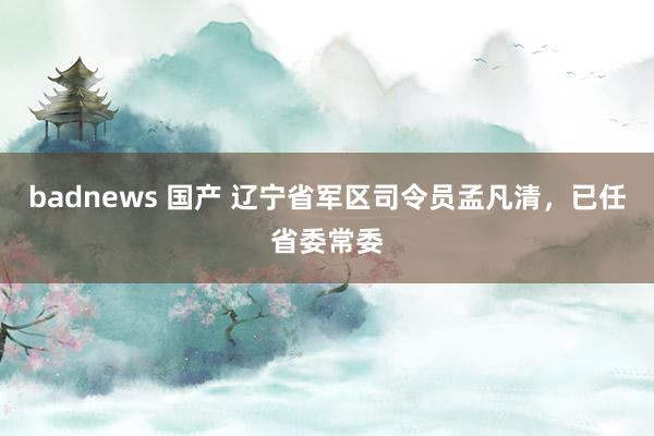 badnews 国产 辽宁省军区司令员孟凡清，已任省委常委