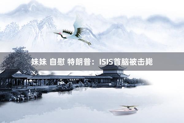 妹妹 自慰 特朗普：ISIS首脑被击毙